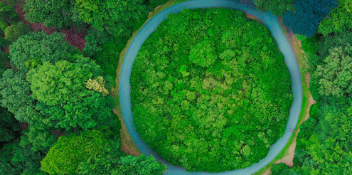 Closed loop vision Closed loop vision